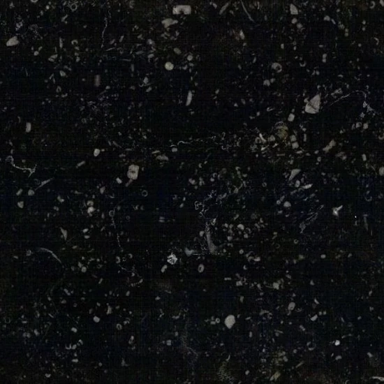 Belgium Blue
