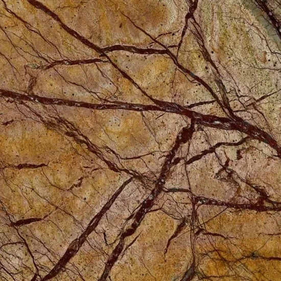 Rainforest Brown